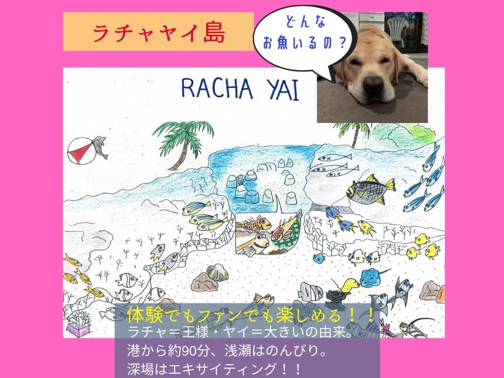 ラチャヤイ島