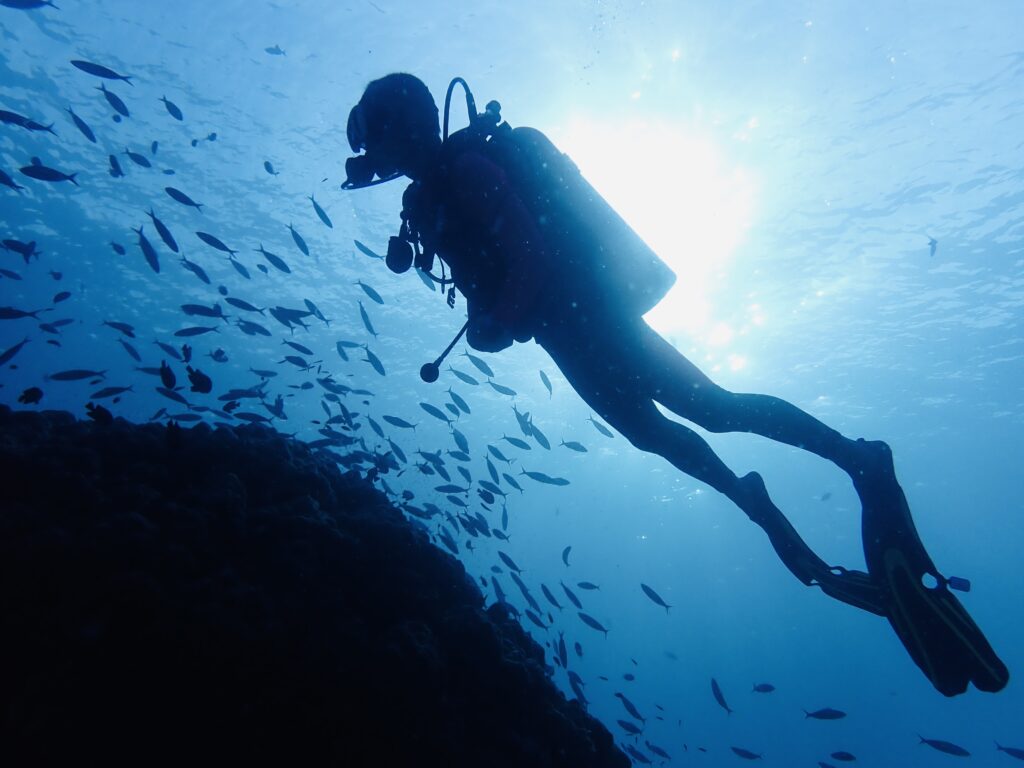 ナイスダイブプーケットのゲストと太陽とその影