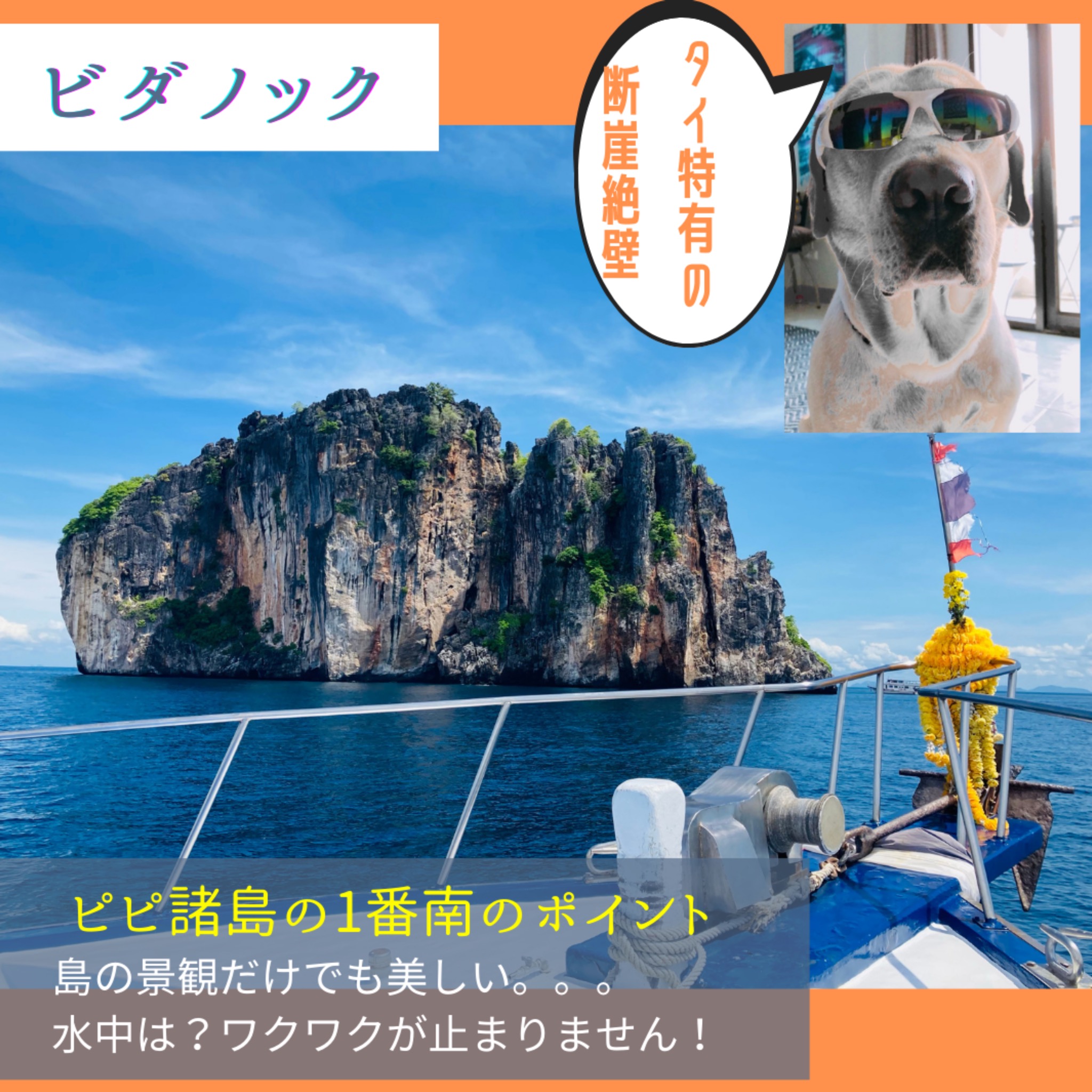 ピピ諸島のダイブサイト