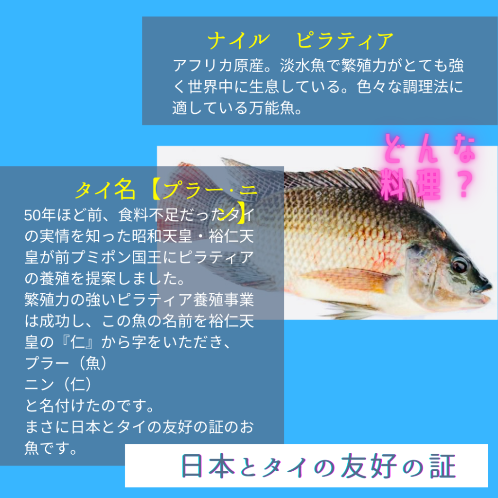 魚料理