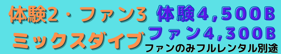 パッケージ、ミックスダイビング