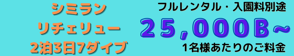 パッケージ、シミラン2泊3日ダイビング