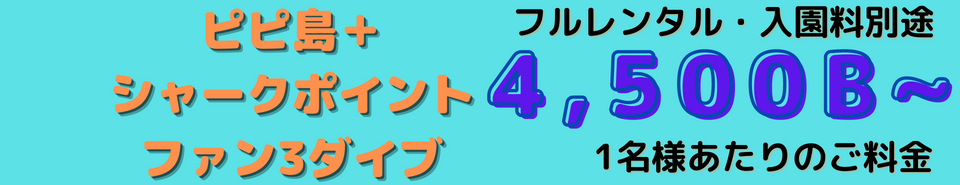 パッケージ、ピピ島ダイビング