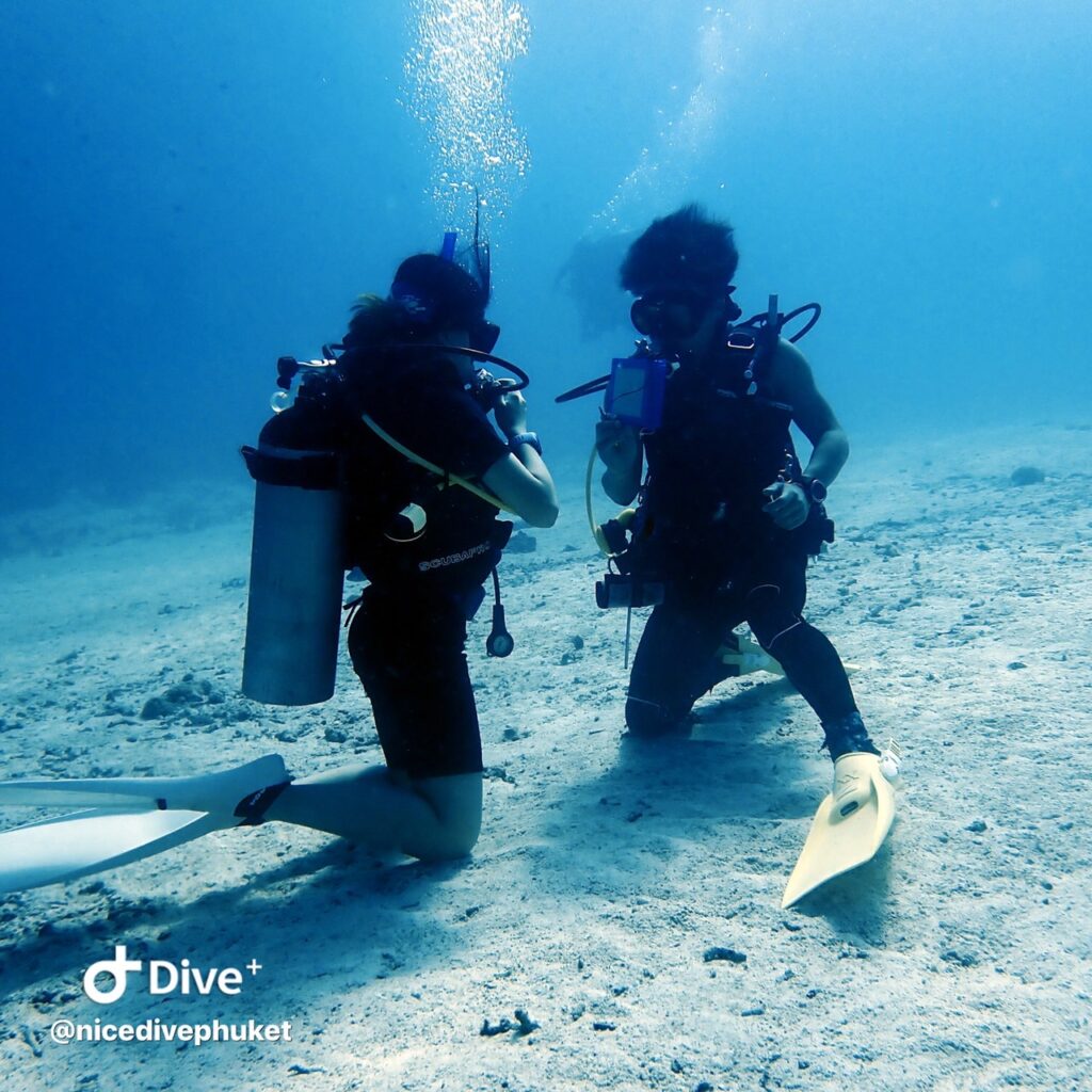 ライセンスコース、海洋実習