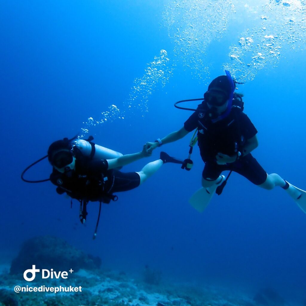 ダイビングをファンと体験で一緒に楽しむ