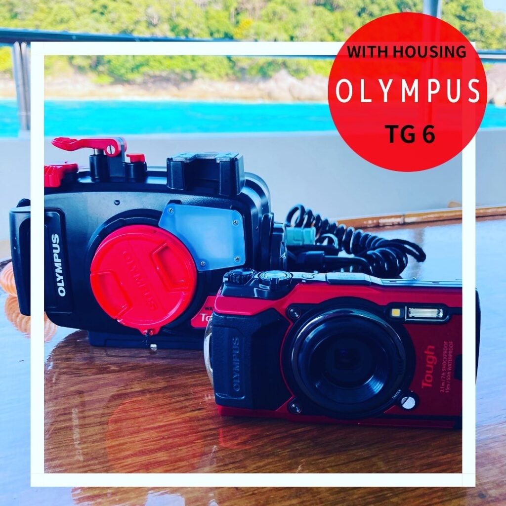 美しい水中世界を撮影、OLYMPUS/TG６
