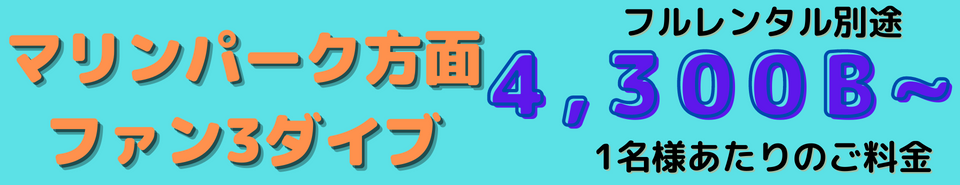 パッケージ、マリンパークダイビング