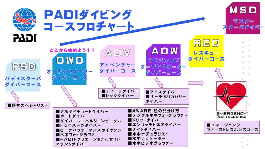 ダイビングコースフロチャート