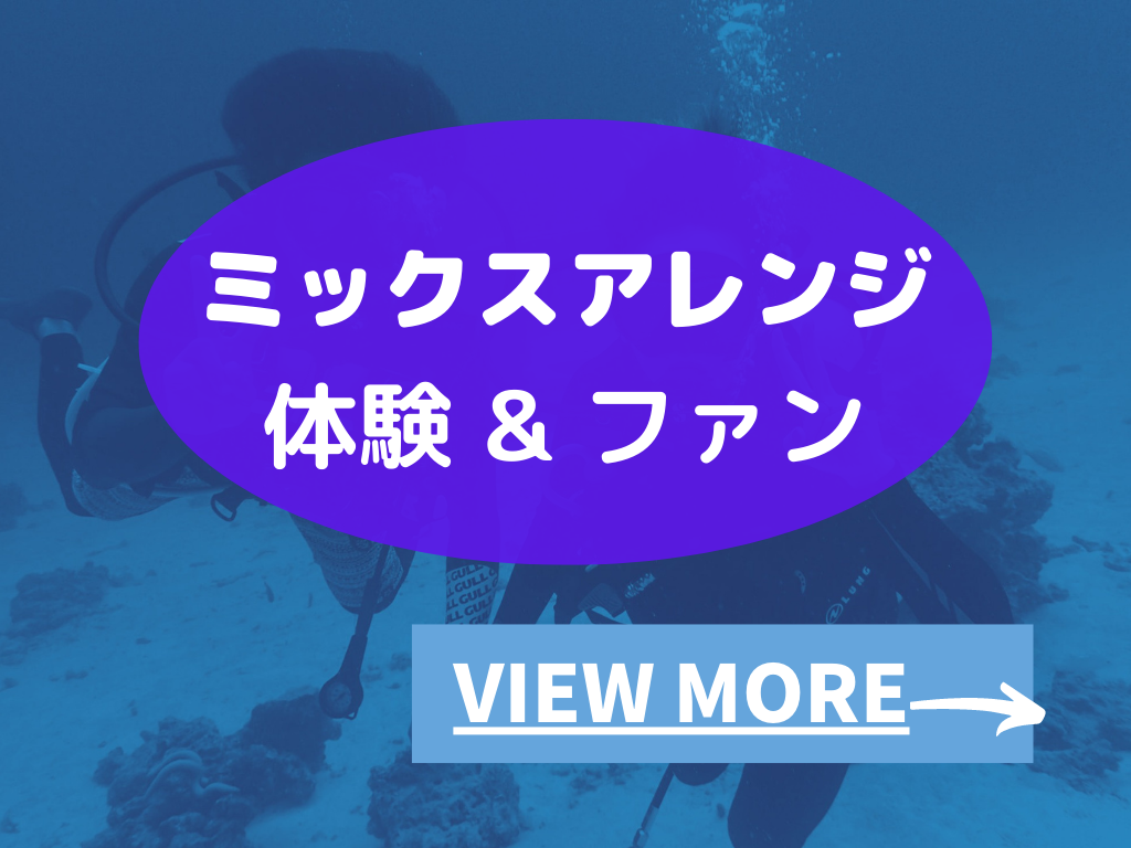 23年お盆のダイビングツアー