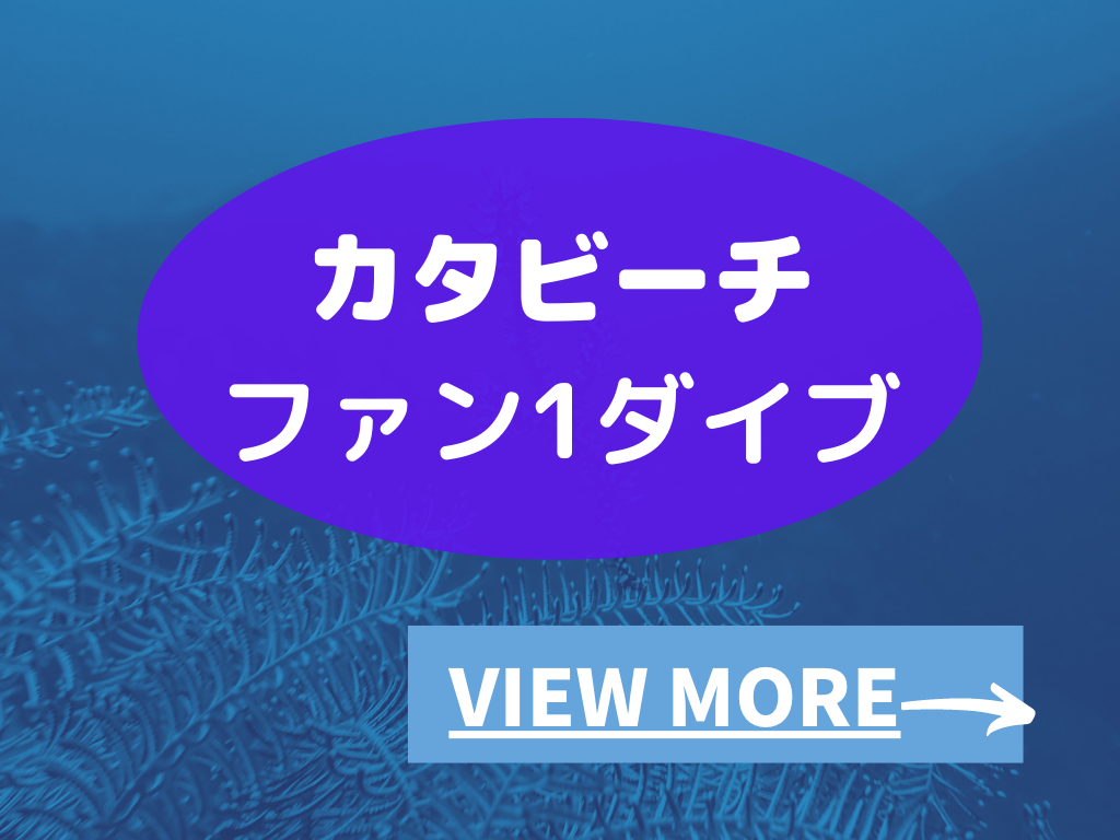 プーケットでファンダイビング