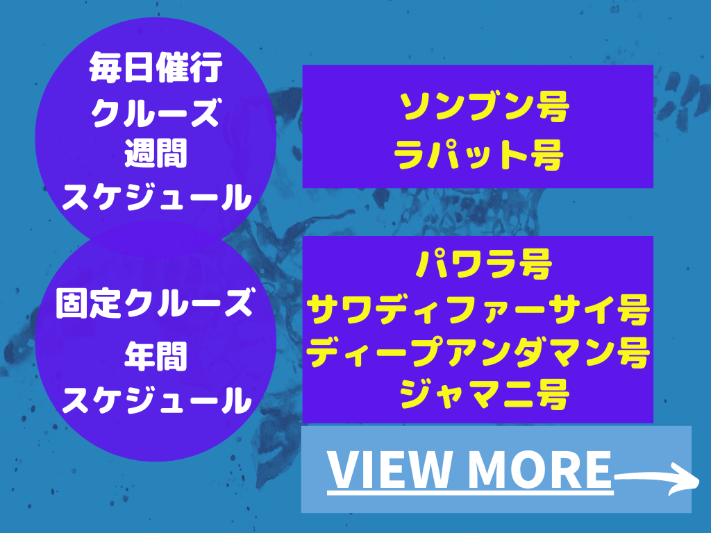 ダイビングクルーズ
