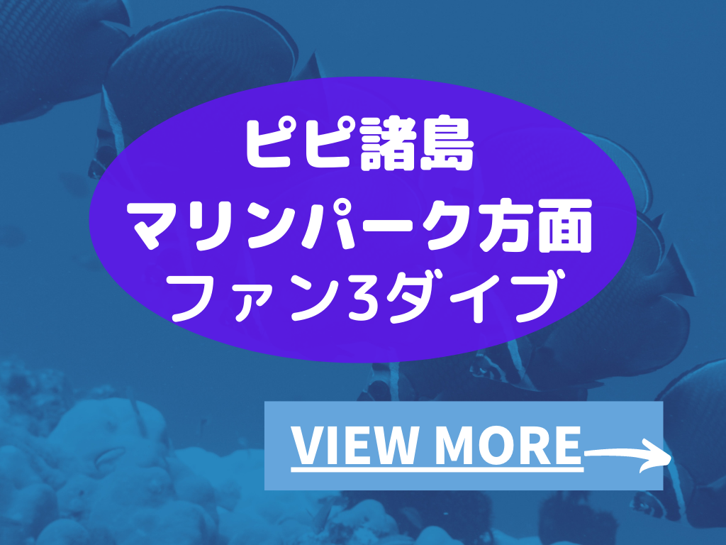 GWツアーのお知らせピピ方面3ダイブ