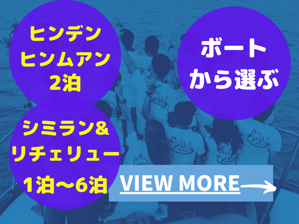 ダイビングクルーズ