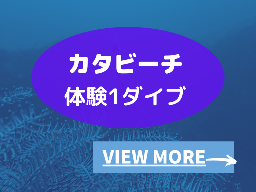 プーケットで体験ダイビング