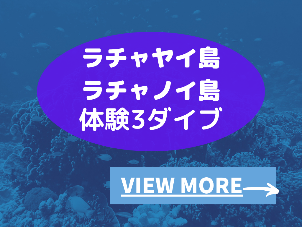 23年お盆のダイビングツアー