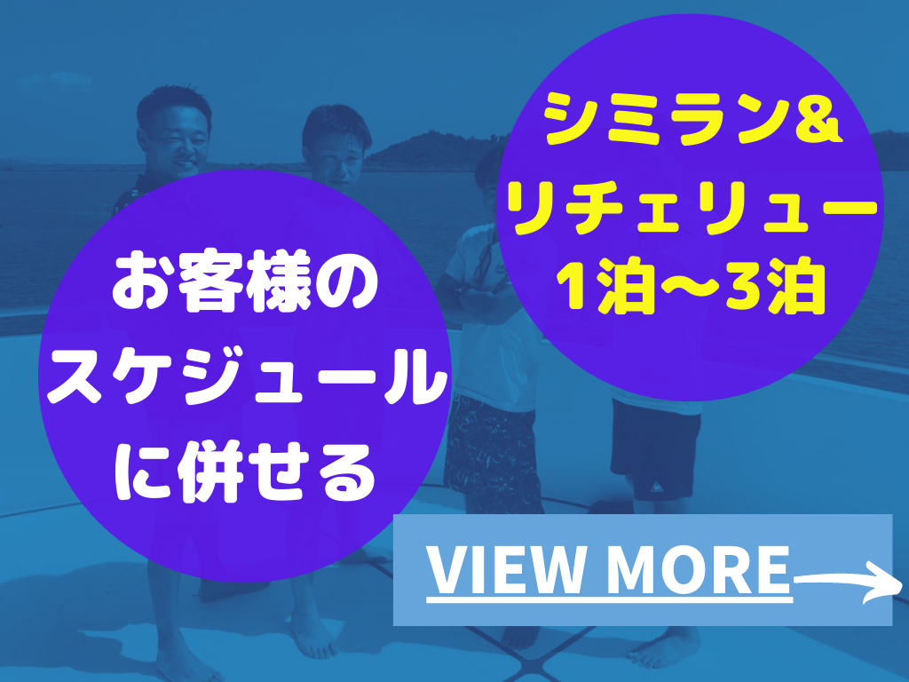 GWツアーのお知らせシミランクルーズ