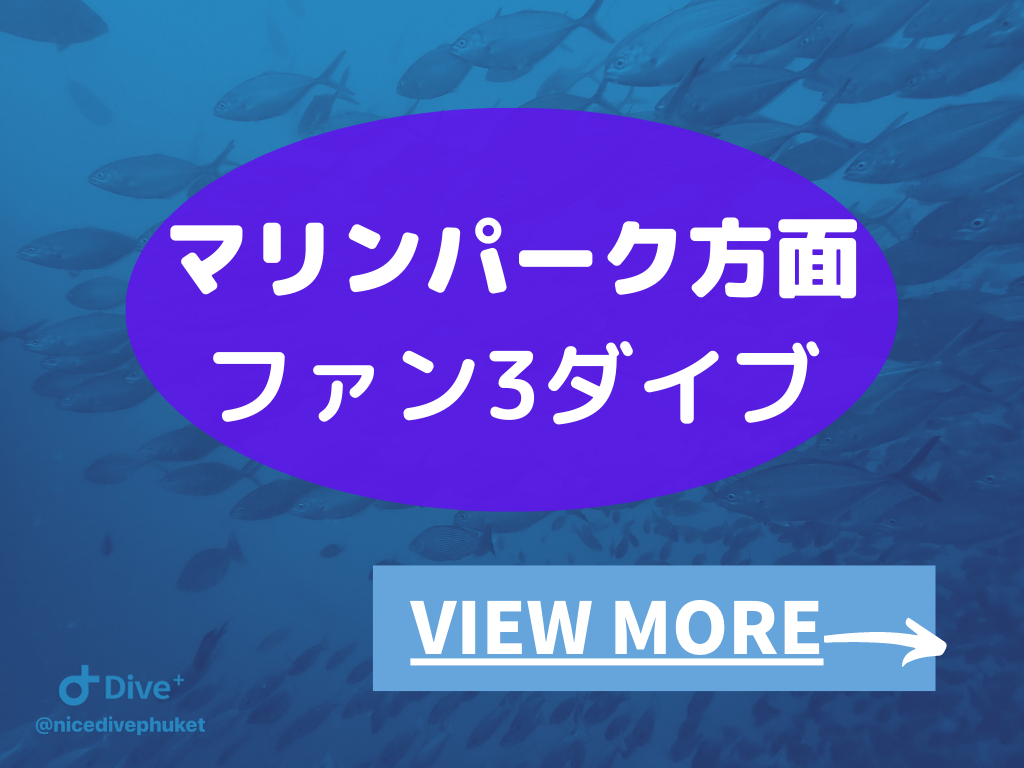 23年お盆のダイビングツアー