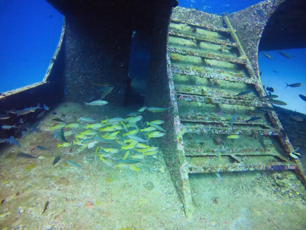 ラチャヤイ島の沈船