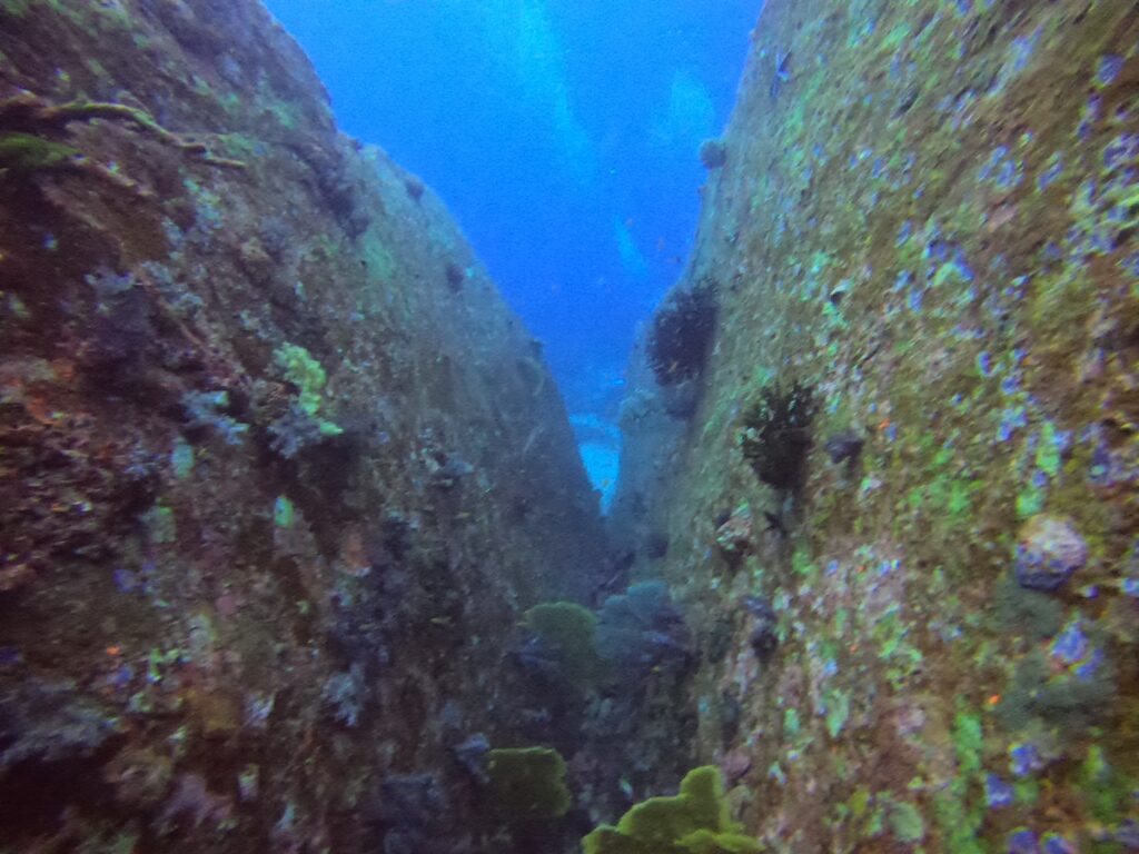 タチャイピナクルでナイス