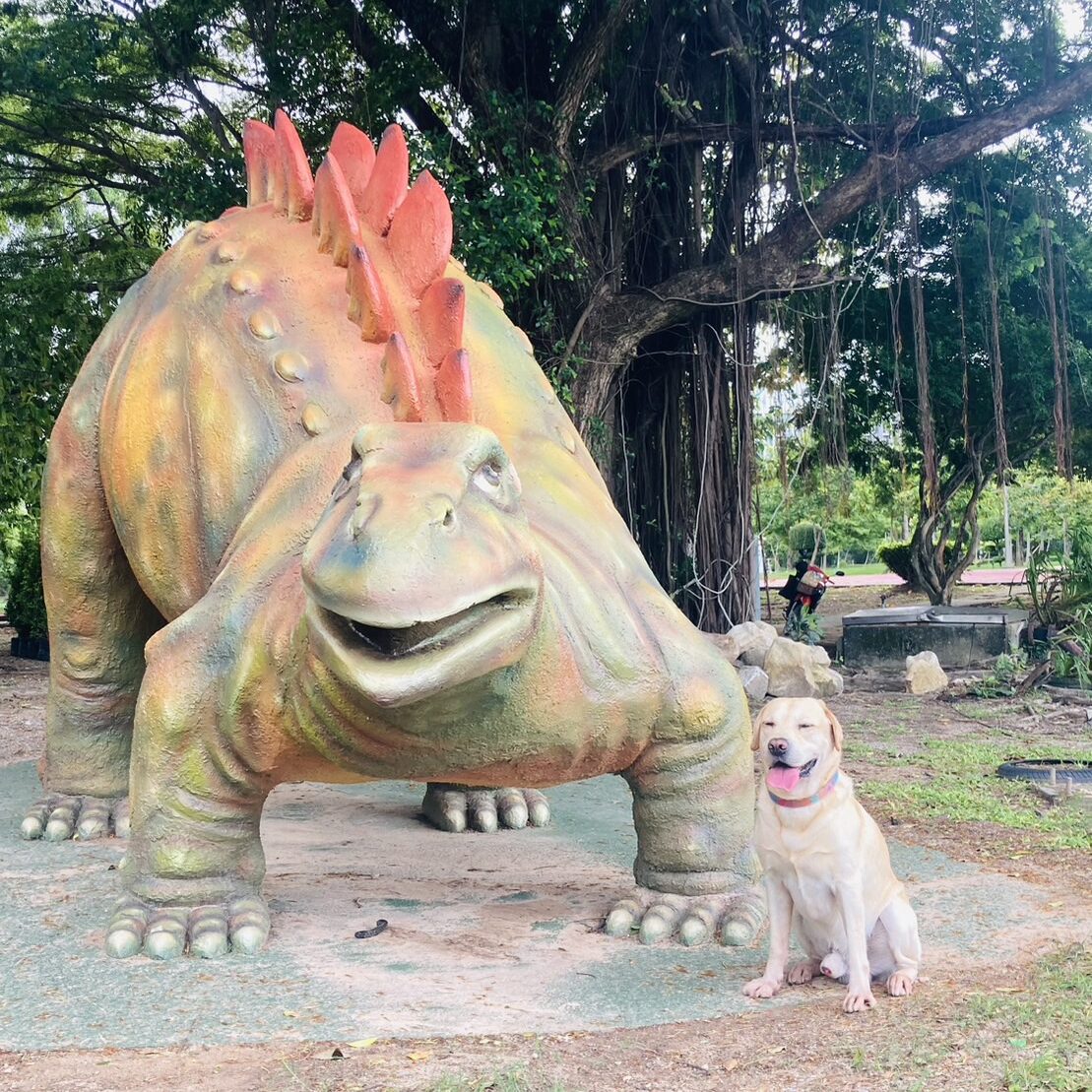 草食系の恐竜