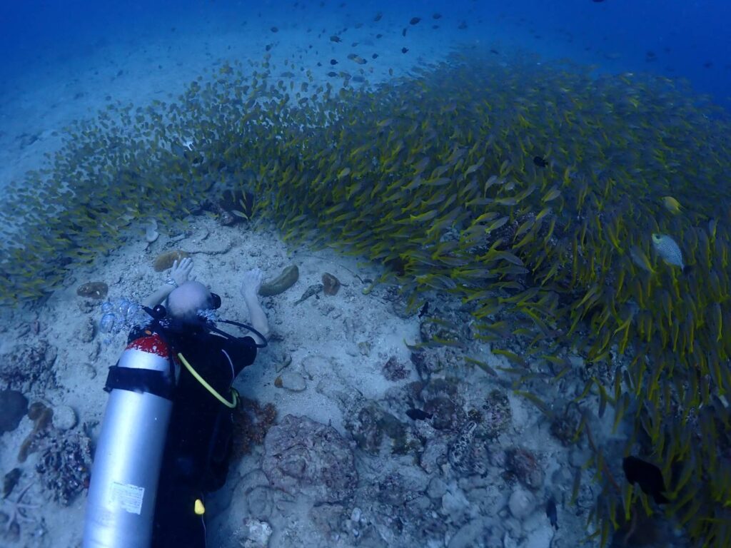 お魚に囲まれるY様