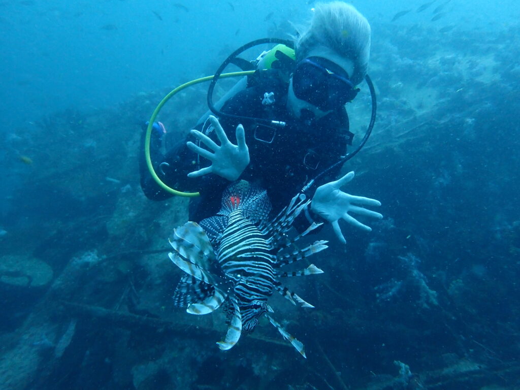 キングクルーザーでナイス