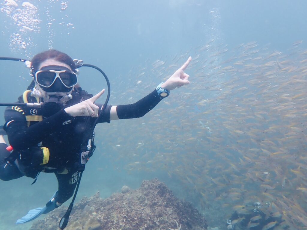 ビダノックの魚群と