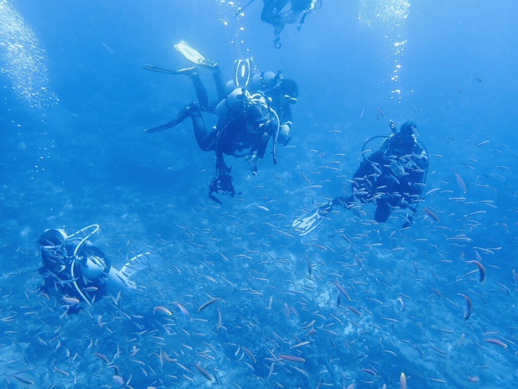 宮崎ナイスダイブ