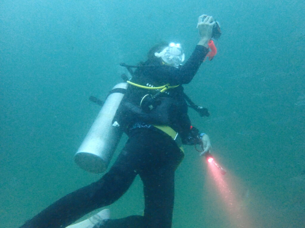 2日目はピピ島へ