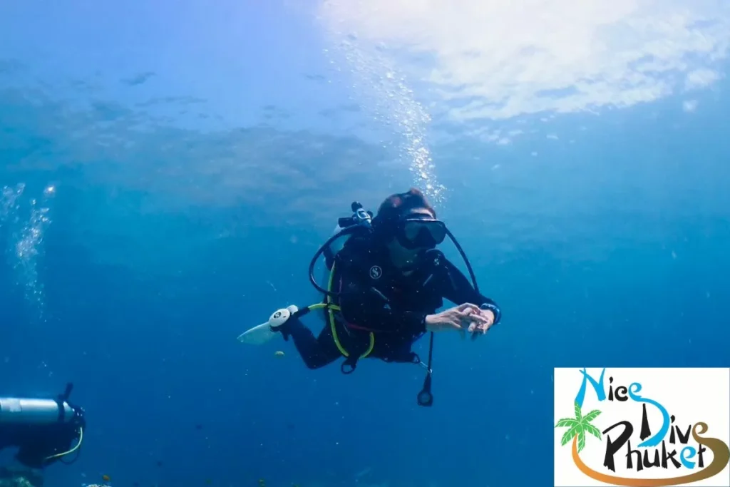 Diver hovering calmly underwater during a fun dive in Phuket