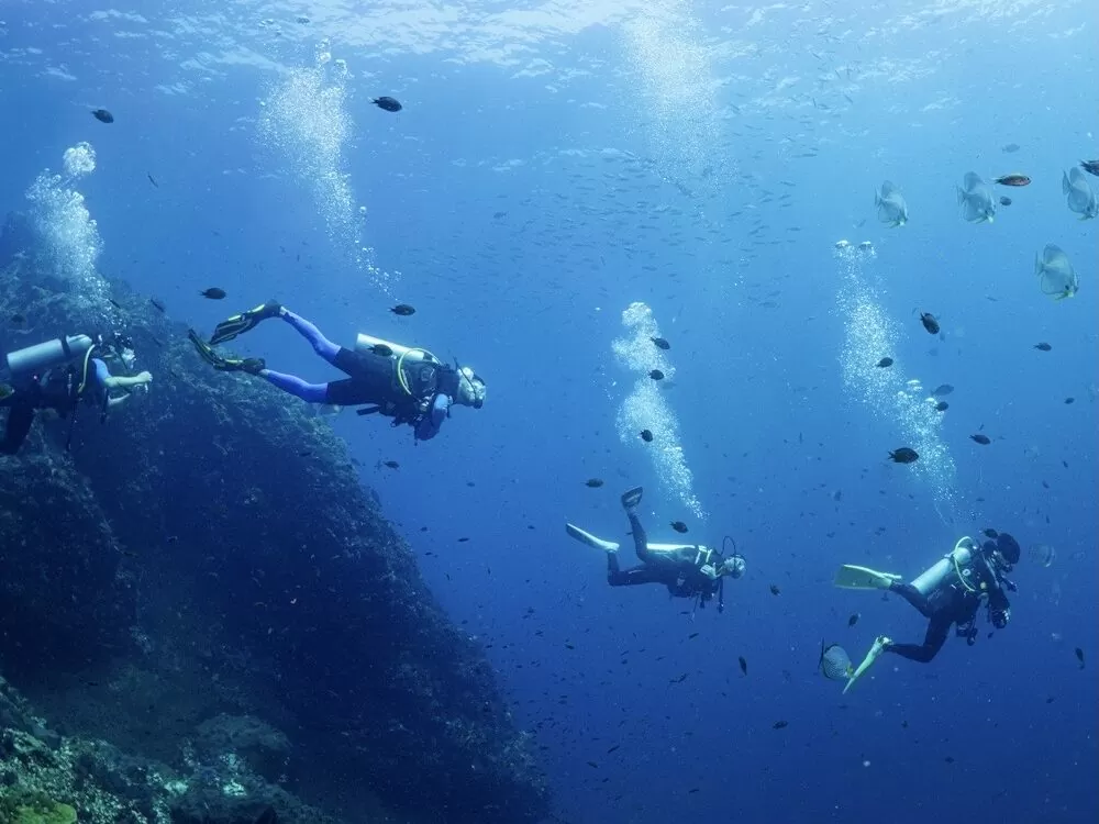 Group of divers exploring a deep reef wall during a liveaboard dive in Phuket