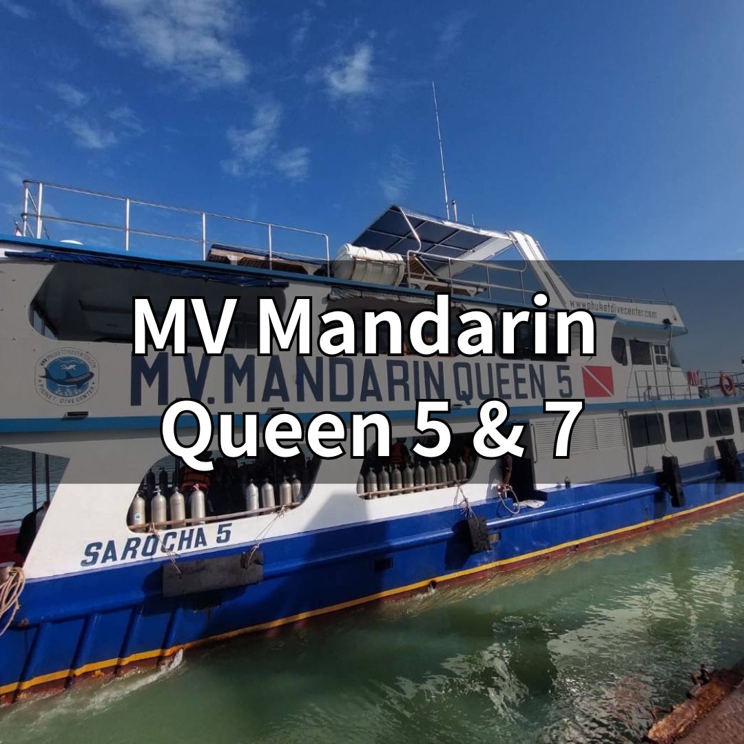 マンダリンクイーン号