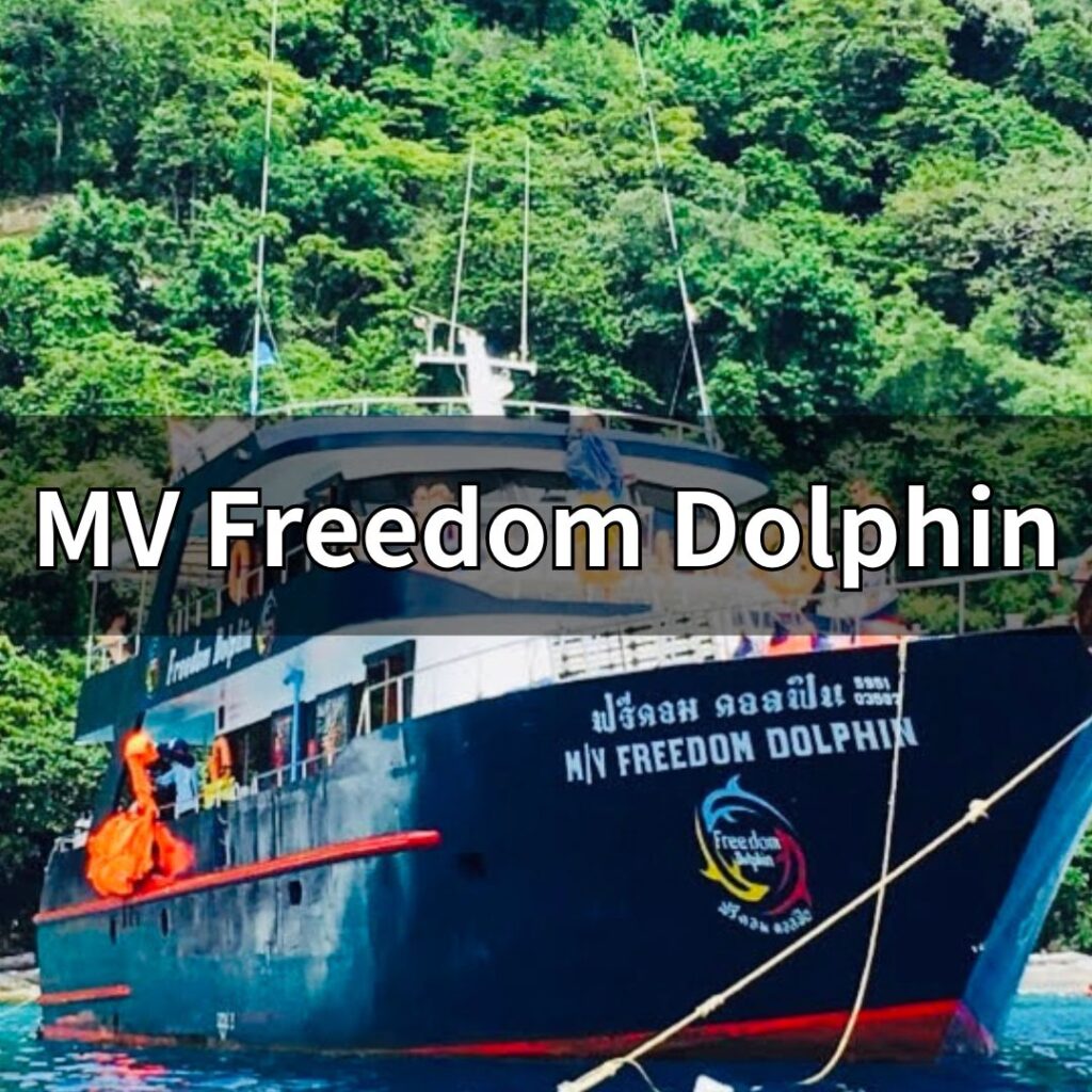 フリーダムドルフィン