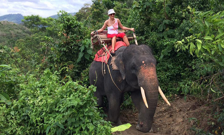 Tourist riding an elephant through a jungle trail in Phuket
