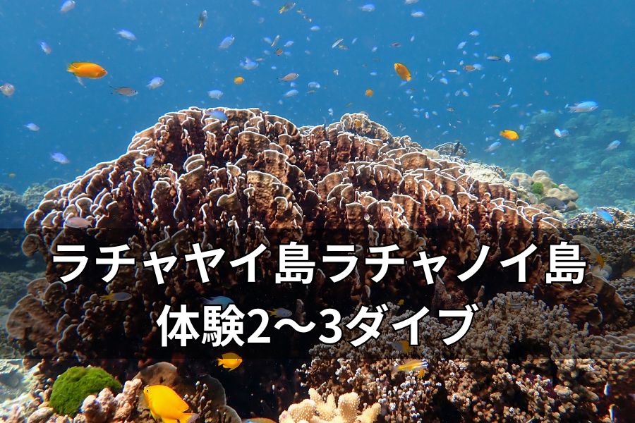 プーケットの透明な海でトロピカルフィッシュと泳ぐ