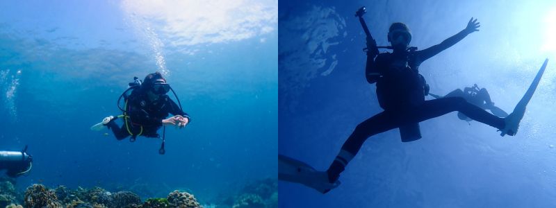 ボート上でポーズを取る人たち、水中でウミガメのそばを泳ぐダイバー、そして太陽の光に向かって浮上するダイバーを並べたコラージュ写真