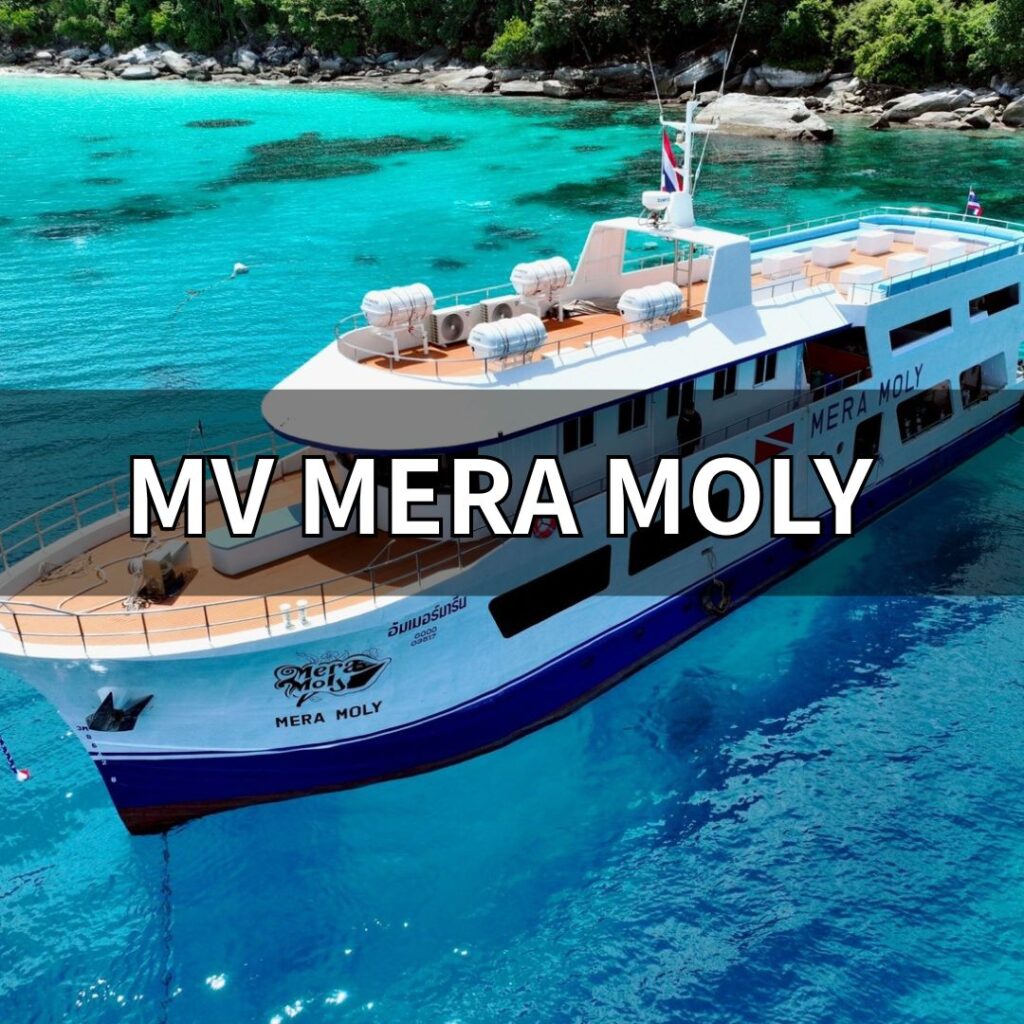 メラモーリイ号