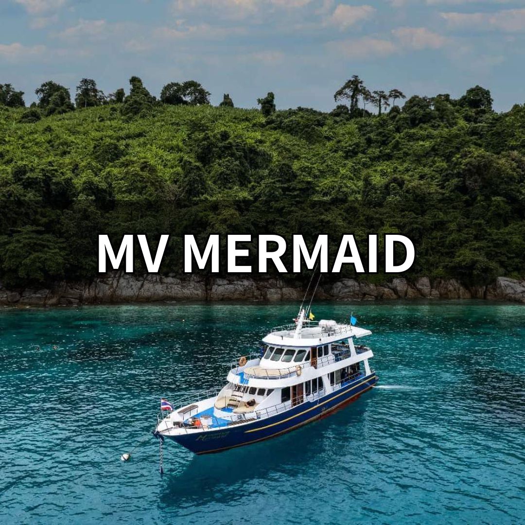 マーメイド号