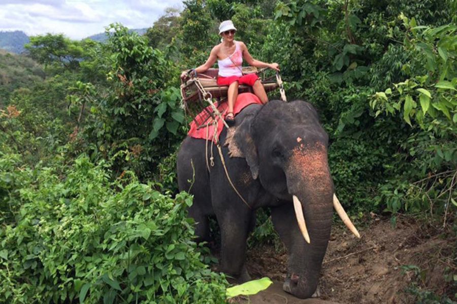 大人気の象乗りツアー