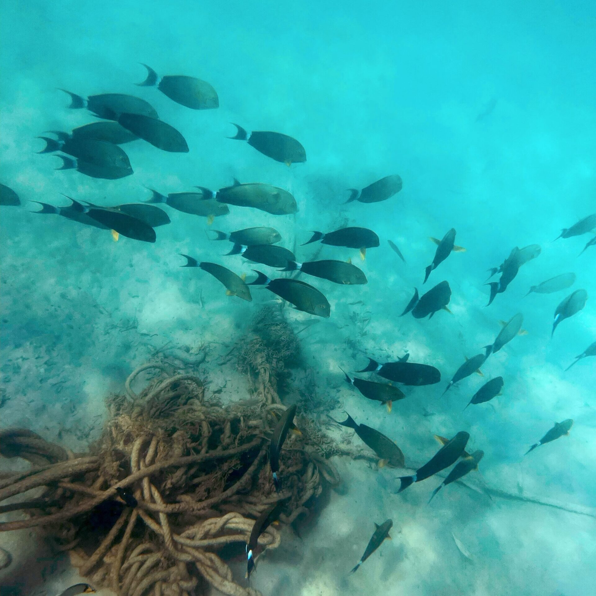 初めてのカタビーチで体験ダイビングにご参加