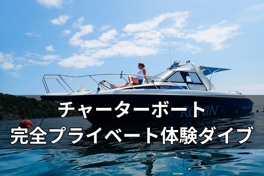 チャーターボート体験ダイブ