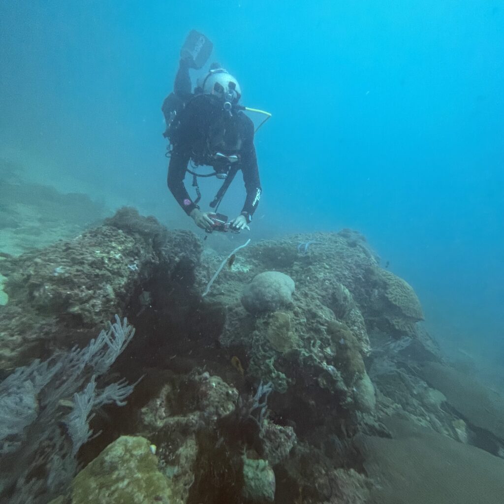 日本人ガイドと一緒にプライベートで潜るファンダイビング