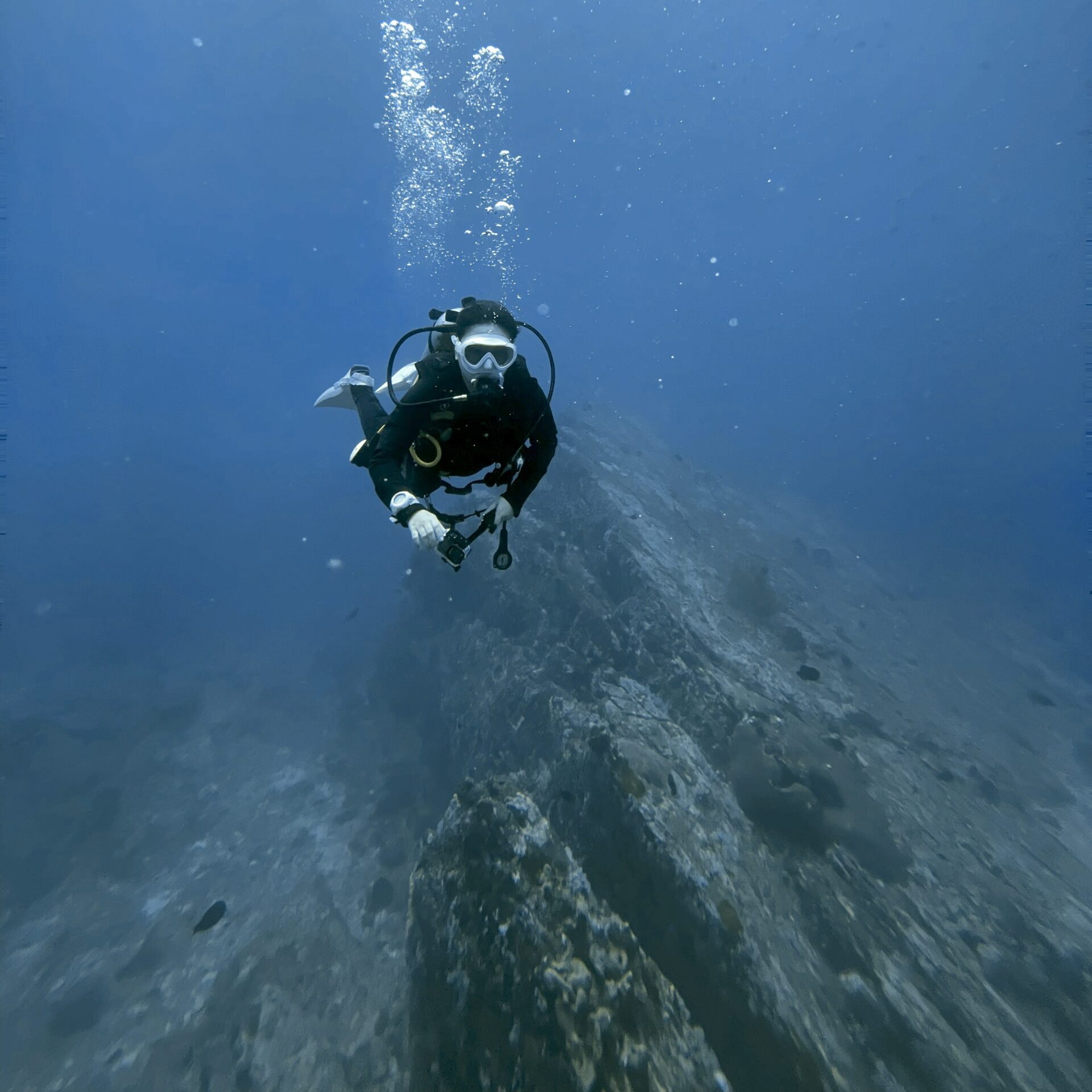 ダイナミックな景観のボン島