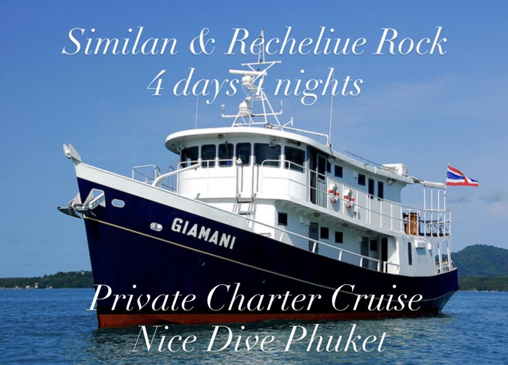 年末年始チャータークルーズのジャマニ号