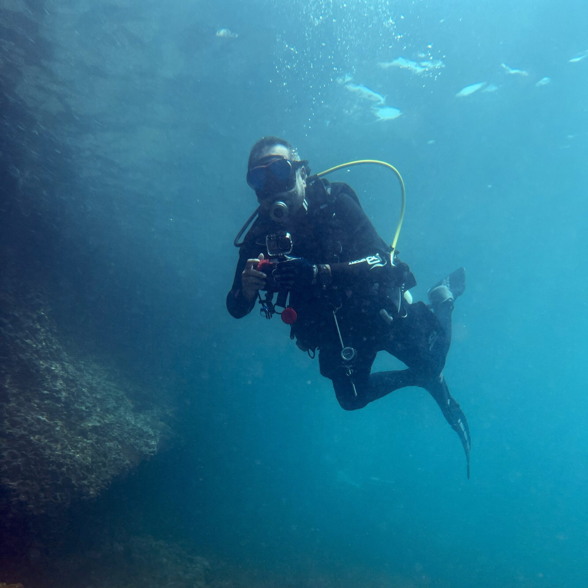 ピピ島大好き4回目