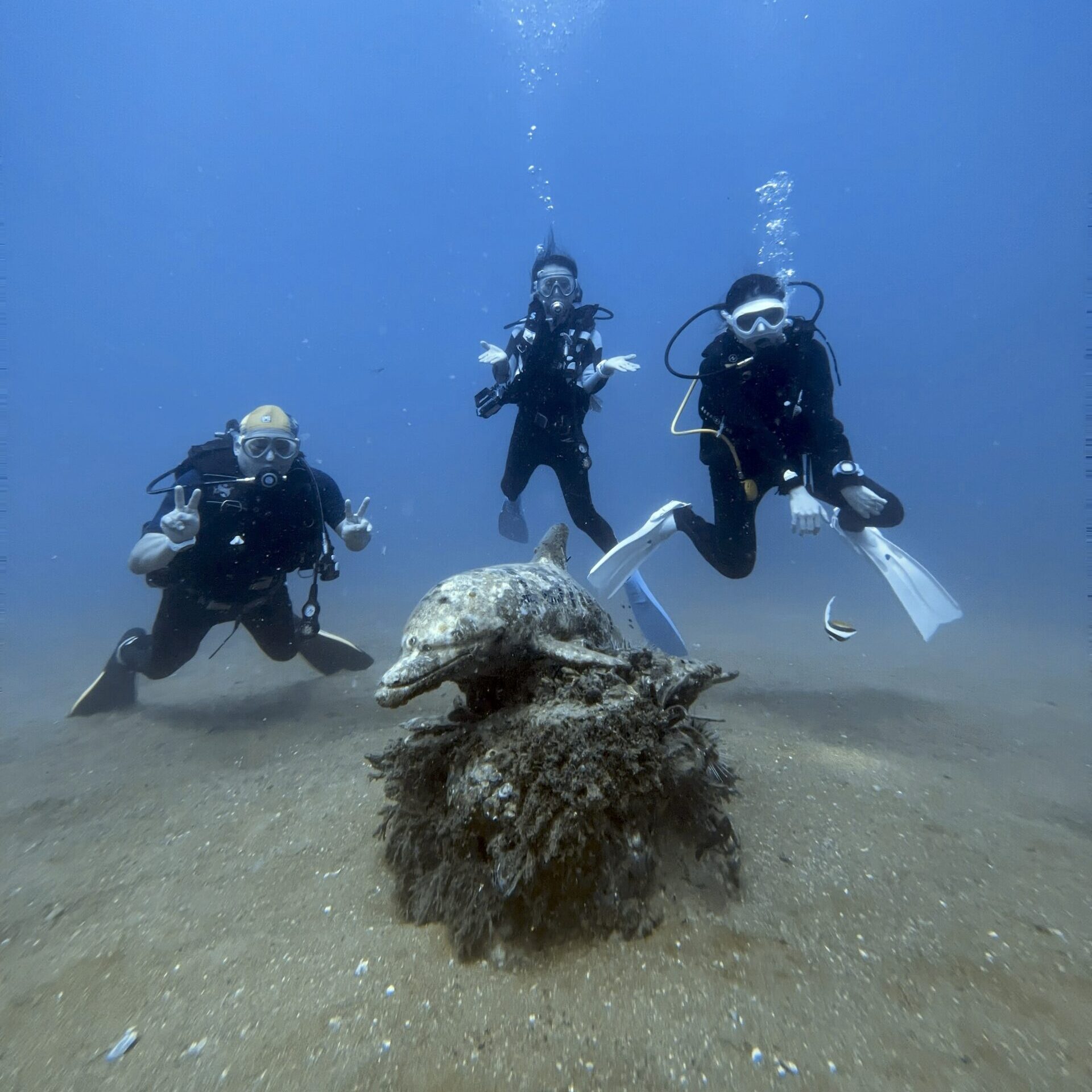 イルカの像とダイバー
