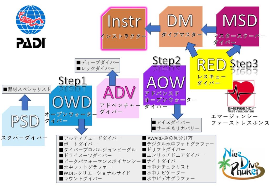 ダイビングライセンスフロチャート