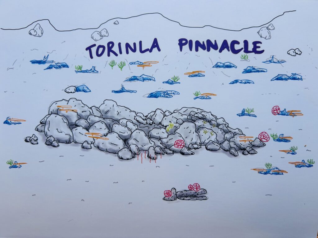 トリンラピナクル