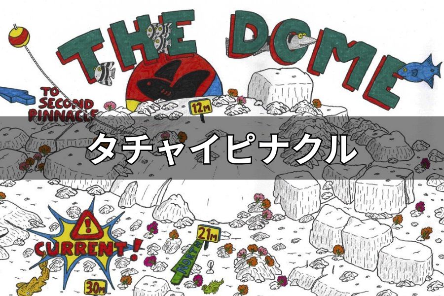 タチャイピナクル