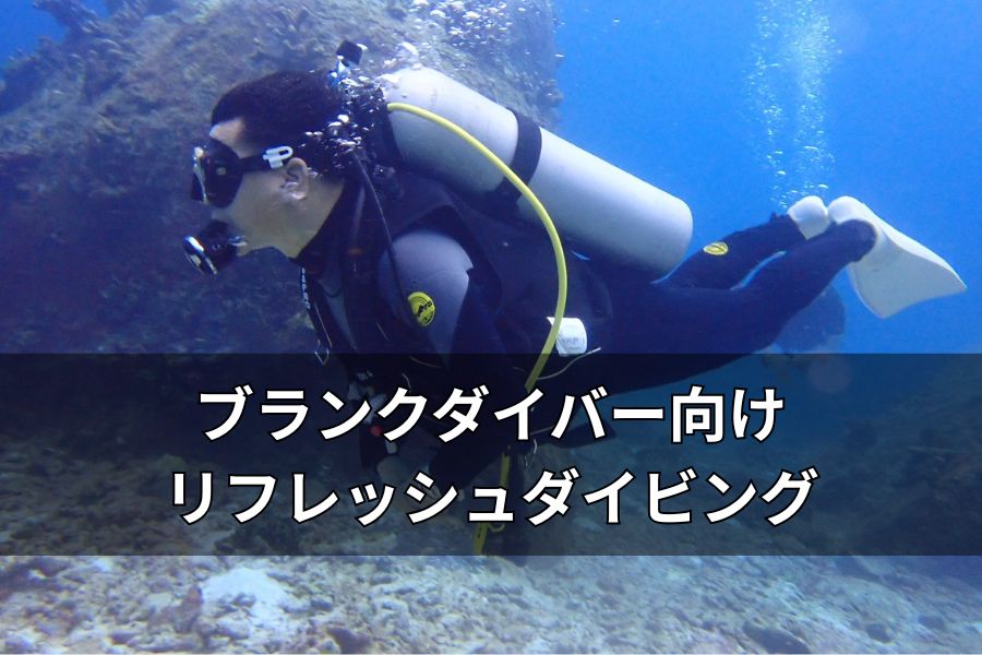 リフレッシュダイビング
